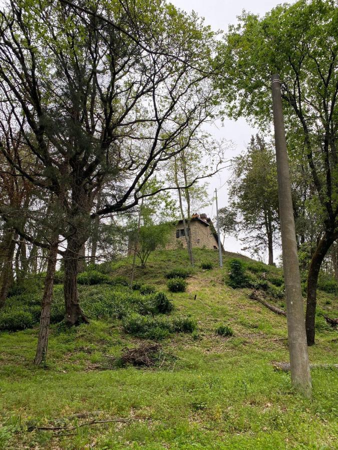 Naturemugello Oasi Naturista Dicomano المظهر الخارجي الصورة