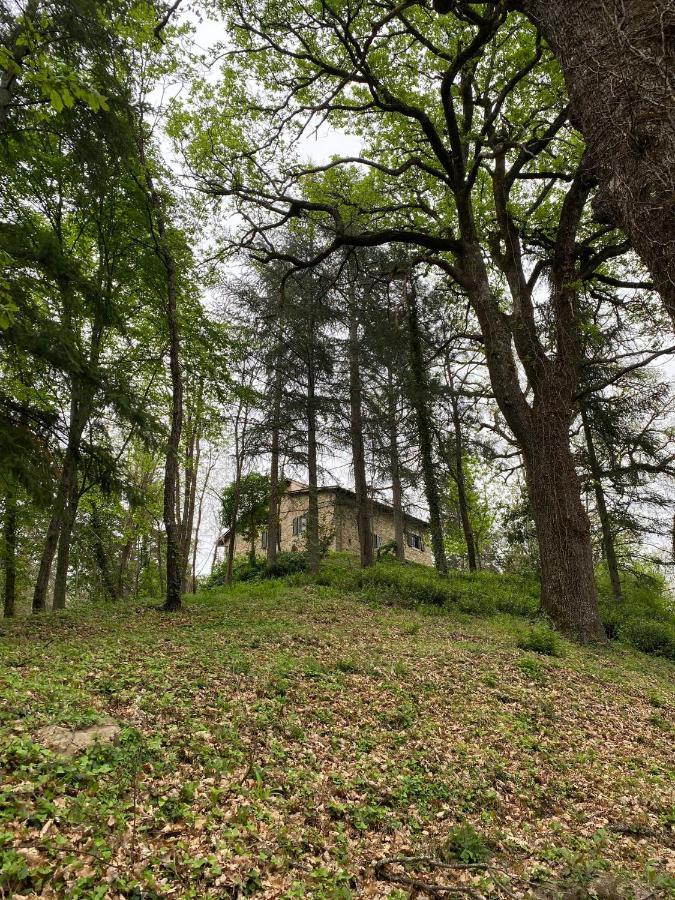 Naturemugello Oasi Naturista Dicomano المظهر الخارجي الصورة